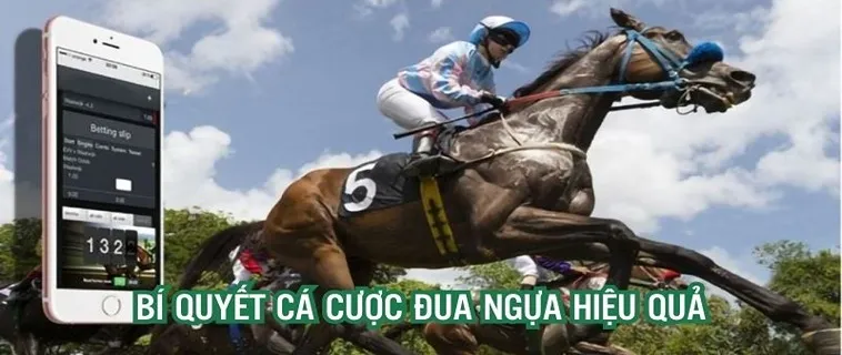 Khám Phá Cá Cược Đua Ngựa SolarBet: Cơ Hội Chiến Thắng Lớn 6 Khám Phá Cá Cược Đua Ngựa SolarBet: Cơ Hội Chiến Thắng Lớn